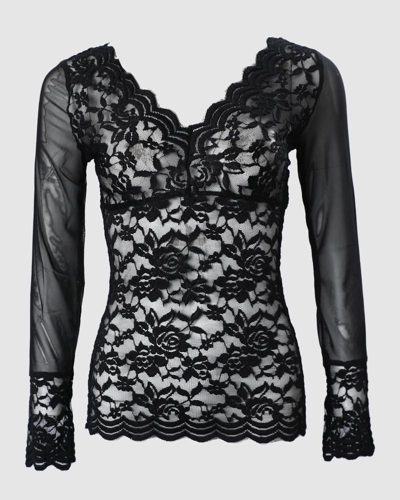 Embroidery Sheer Mesh Lace Long Sleeve Top