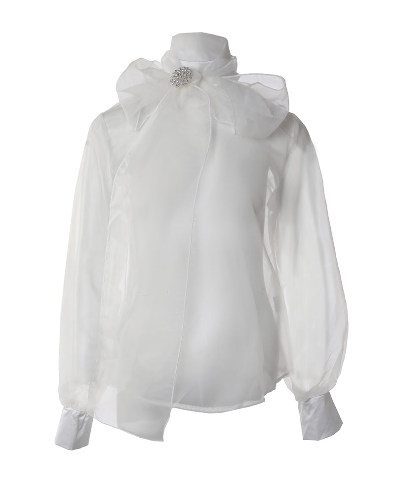 Lantern Sleeve Tie Neck Organza Top